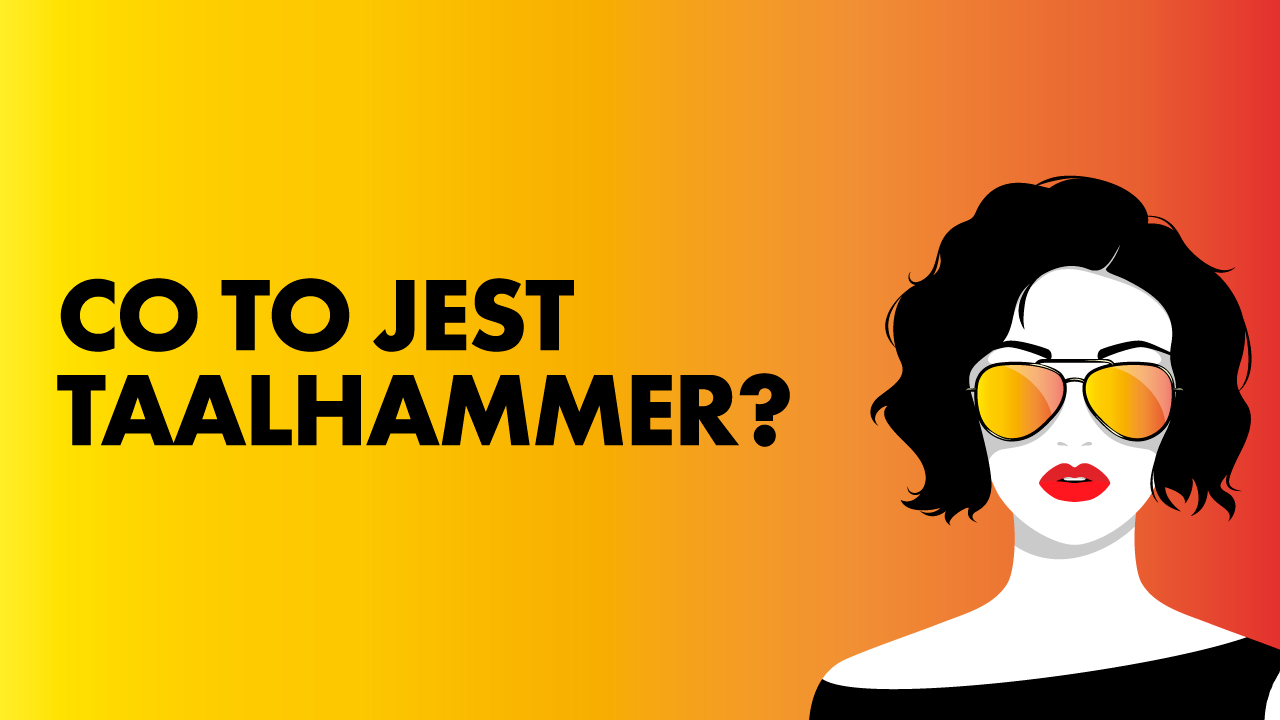 Taalhammer | rapid online language learning and acquisition