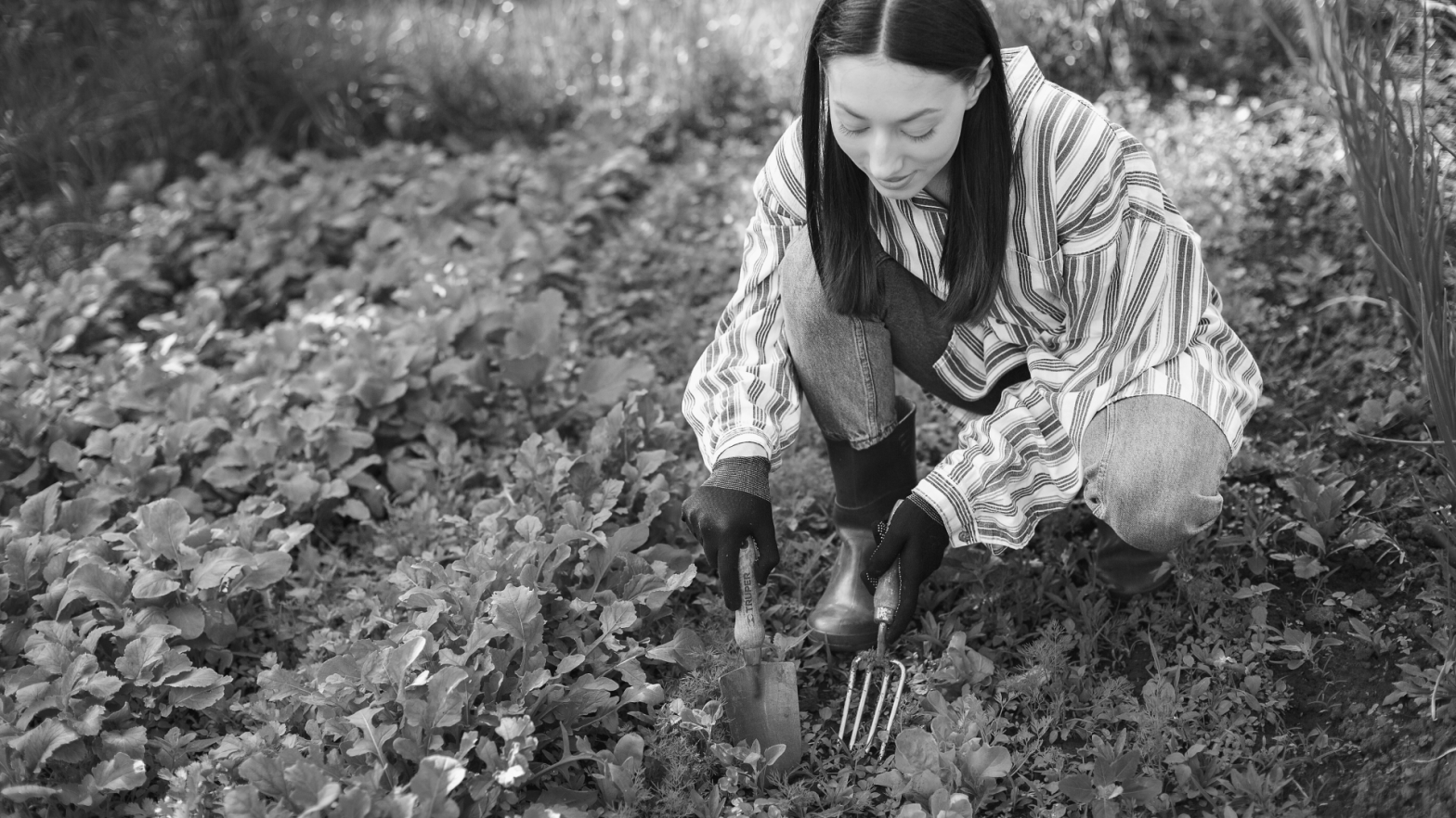 Warzywa po angielsku (vegetables) – lista i przydatne słownictwo