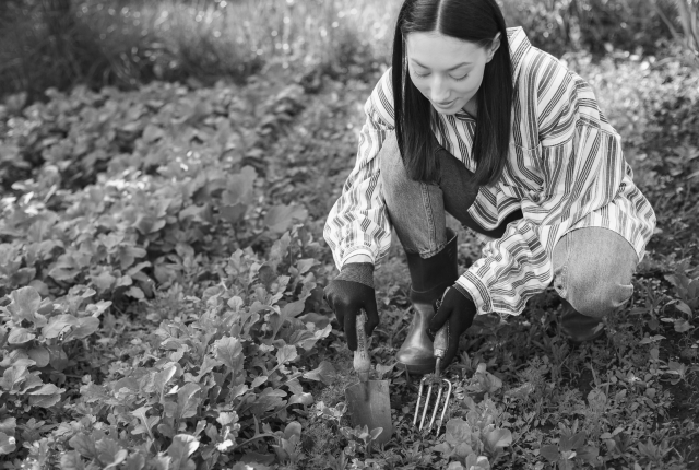 Warzywa po angielsku (vegetables) – lista i przydatne słownictwo