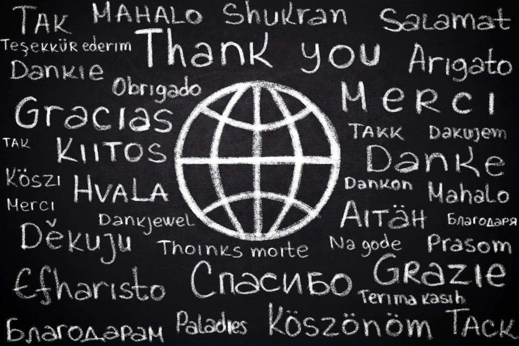 WHAT DOES IT MEAN TO BE A BEGINNER IN A LANGUAGE intelligence overview