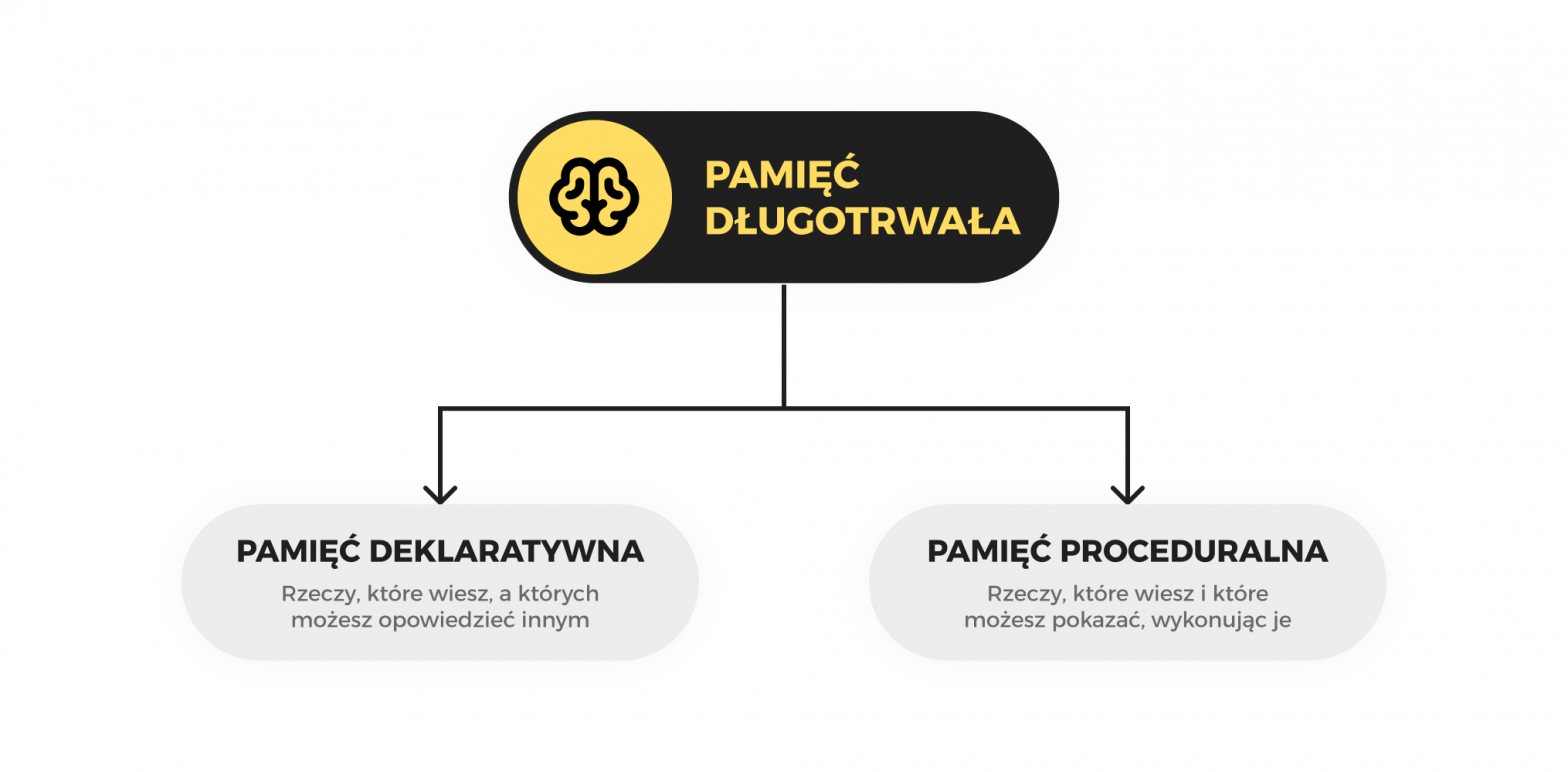 Pamięć deklaratywna vs. pamięć proceduralna (1957) | Taalhammer